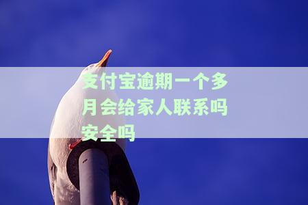 支付宝逾期一个月会有什么影响？未来还能继续使用吗？