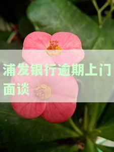 浦发银行逾期上门面谈是真的吗，真相揭秘：浦发银行逾期真的会上门面谈吗？