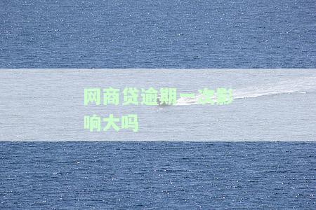 网商贷逾期一次影响大吗