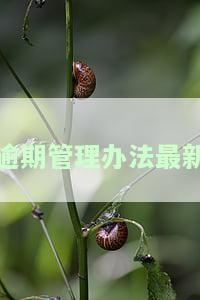 逾期管理办法最新修订，掌握最新资讯：逾期管理办法进行修订！