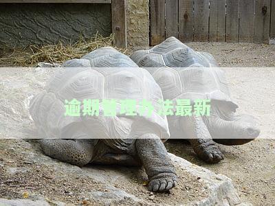 2023年起实！逾期新规定全面解读