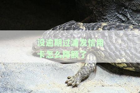 没逾期过浦发信用卡为何被降额？