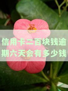 信用卡二百块钱逾期六天会有多少钱利息，逾期六天，信用卡欠款200元会产生多少利息？
