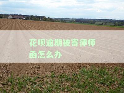 花呗逾期给你发律师函都用什么快递，了解花呗逾期后果：律师函采用何种快递方式？