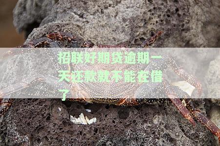 招联好期贷：逾期一天还款后能否再借款？