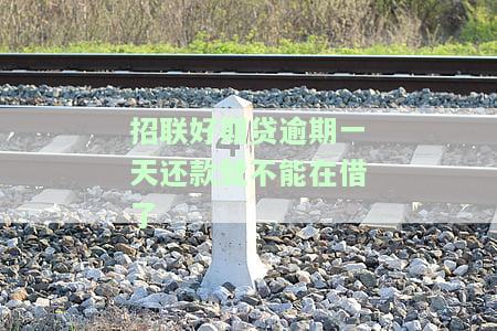 招联好期贷晚了一天还款，逾期一天还款，招联好期贷有何影响？