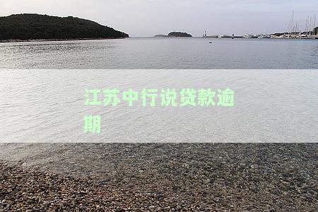 中国银行贷款逾期两个月催款了怎么办，急需解决：中国银行贷款逾期两个月，已被催款，该怎么办？