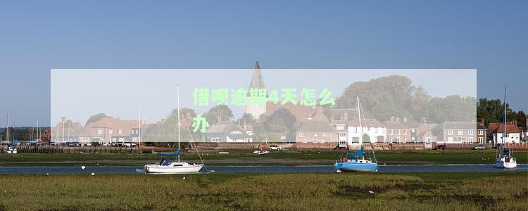 借呗逾期4天怎么办啊，急需解决：借呗逾期4天，我该怎么办？