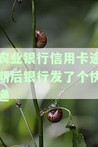 欠农行信用卡逾期收到法院传票后，如何与银行有效沟通？