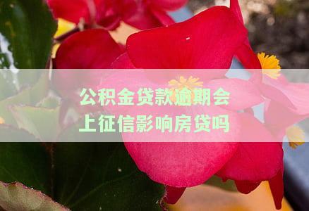 公积金贷款逾期有什么影响，警惕！公积金贷款逾期的严重后果