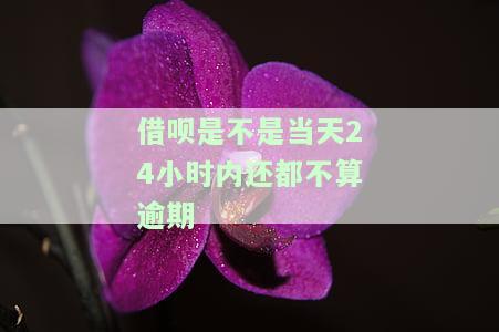 借呗：还款当天24小时内是否可以再次借款或使用？