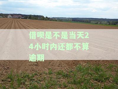 借呗是不是当天24小时内还都不算逾期-借呗是不是当天24小时内还都不算逾期了