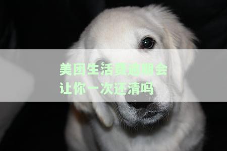 美团生活费逾期：一次性还清所有欠款？