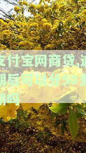 支付宝网商贷逾期可以商量只还本金吗，协商还款？支付宝网商贷逾期能否只还本金？
