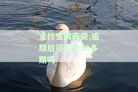 支付宝网商贷逾期还上后多久可以使用，如何在支付宝网商贷逾期还款后重新使用？