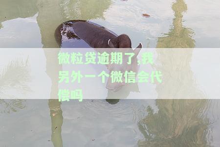 欠微粒贷钱逾期后会从我另一个微信银行卡扣款吗，关于欠微粒贷钱后的扣款问题：是否会自动从其他微信银行卡扣除？