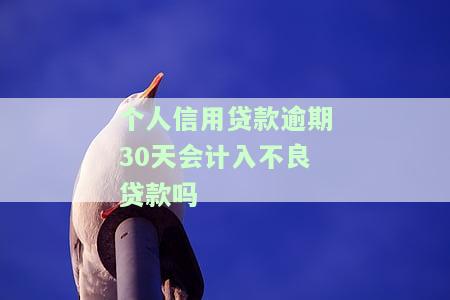 个人信用贷款逾期30天是否计入不良贷款？知乎上有解答！