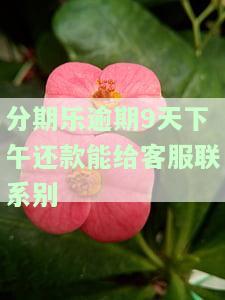 分期乐逾期了一天,什么时候可以借钱出来，分期乐逾期一天，何时能再次借款？
