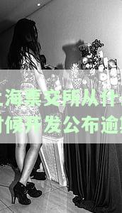 上海票交所从什么时候开发公布逾期金额，揭示时间：上海票交所何时开始公布逾期金额？