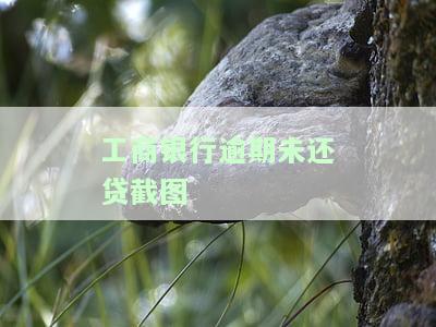 工商逾期银行会秒扣款吗，工商逾期：银行是否会秒扣款？
