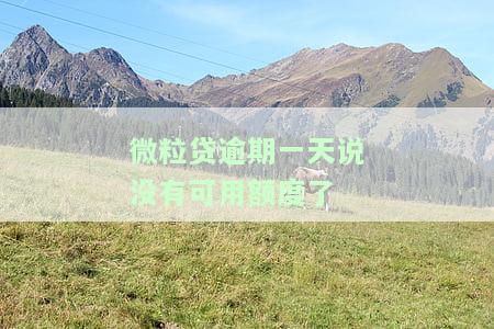 微粒贷逾期1天额度没了：如何恢复？原因解析