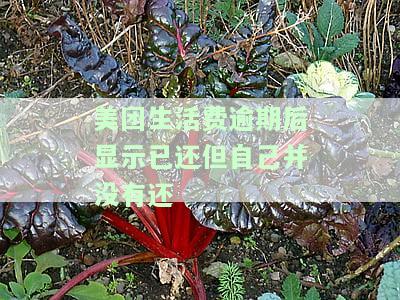 美团生活费逾期一个月突然显示已还款：原因及解决办法