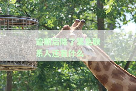 逾期后除了紧急联系人还有什么-逾期后除了紧急联系人还有什么联系方式