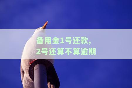 备用金还款周期：多久还一次，需要几天还完？