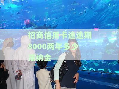 招商信用卡7000逾期两年，严重警告：招商信用卡7000元逾期两年，影响信用记录！