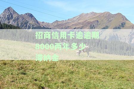 招商信用卡逾逾期8000两年多少滞纳金-招商信用卡逾逾期8000两年多少滞纳金啊