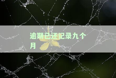 '逾期9个月能否再次获得贷款？'