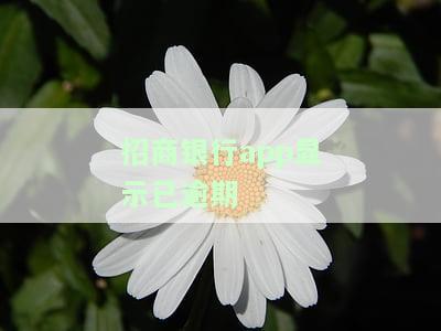 招商银行显示已逾期-招商银行逾期还款了,怎么还显示逾期