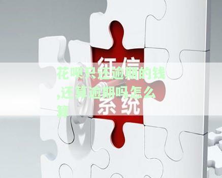 花呗还完逾期部分，剩下的可以每月还吗？还会被催收吗？