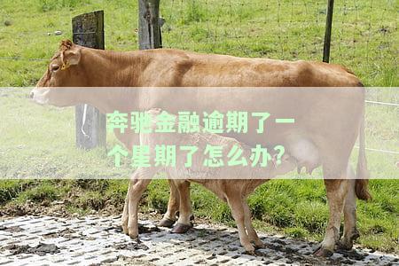 奔驰金融逾期现在已经结清可以征信修复吗，奔驰金融逾期已结清，如何修复征信记录？