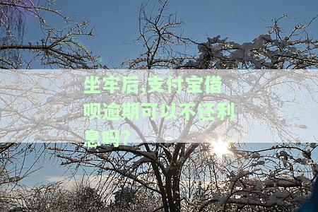 坐牢后,支付宝借呗逾期可以不还利息吗?