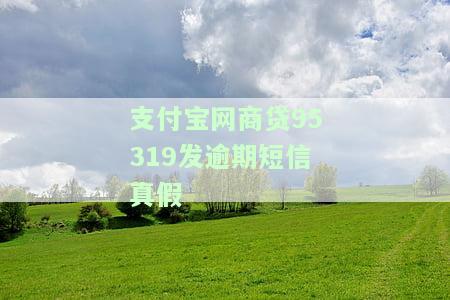 支付宝网商贷95319发逾期短信真假是真的吗，揭露真相：支付宝网商贷95319发逾期短信是否真实存在？