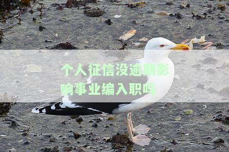 征信无逾期，真的不影响你入职吗？