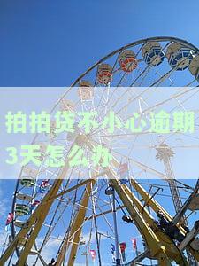 拍拍贷不小心逾期3天怎么办-拍拍贷不小心逾期3天怎么办呢