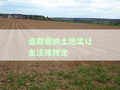逾期缴纳土地出让金的滞纳金规定，解读：逾期缴纳土地出让金将面临滞纳金的规定