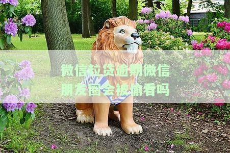 微信粒贷逾期微信朋友圈会被偷看吗