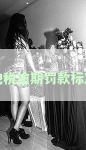 地税逾期几天罚款：详细规定与金额解析