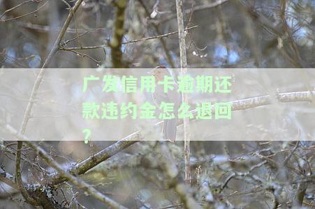 发信用卡逾期还款违约金怎么退回来，如何申请退还发信用卡逾期还款违约金？