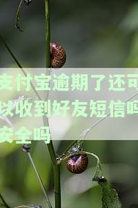 支付宝逾期了还可以收到好友短信吗安全吗，支付宝逾期后还能收到来自好友的短信吗？安全性如何？