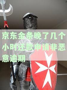 京东金条晚了几个小时还款申请非恶意逾期解决方法