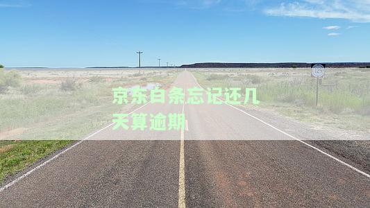京东白条忘记还几天算逾期