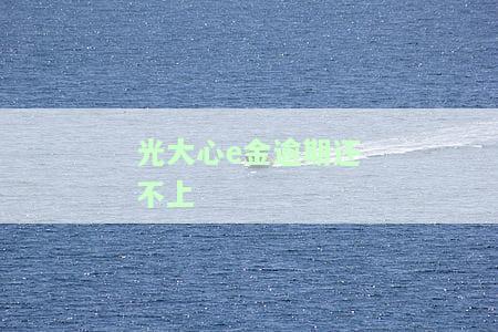 光大心e金逾期一天上征信吗，光大心E金逾期一天是否会上征信？