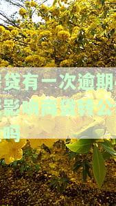 房贷逾期一次影响公积金贷款吗，房贷逾期一次是否会影响公积金贷款？