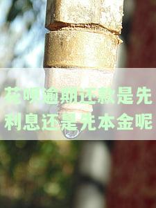 花呗逾期还款：先还利息还是本金？