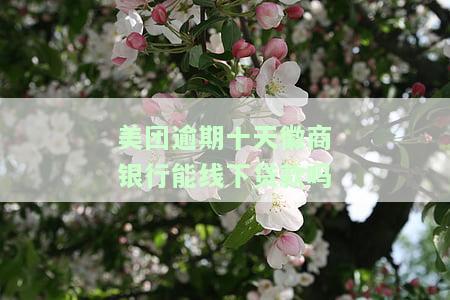 美团逾期十天后，还能在徽商银行线下贷款吗？安全可靠吗？