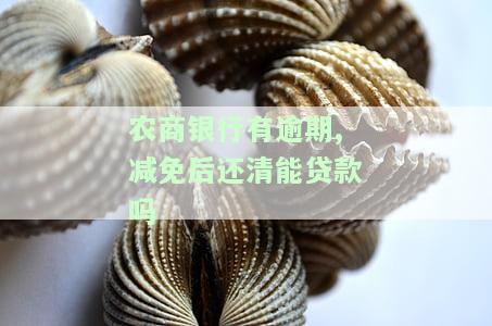 农商银行有逾期,减免后还清能贷款吗安全吗，农商银行逾期还款后，能否申请贷款？安全吗？